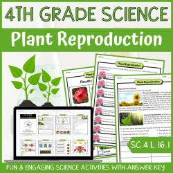 Cellular reproduction worksheet answer key