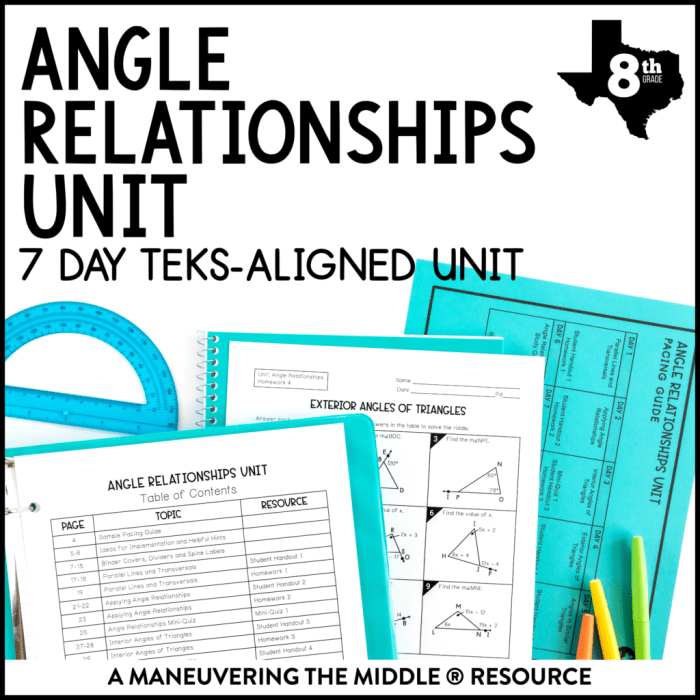 Topic 3 line and angle relationships