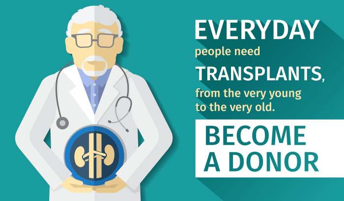 Kidney transplant transplanted kidneys