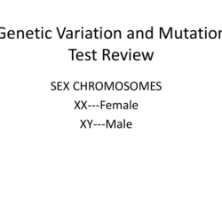 Genetic biology guide codon mutation missense altered encodes sickle anaemia