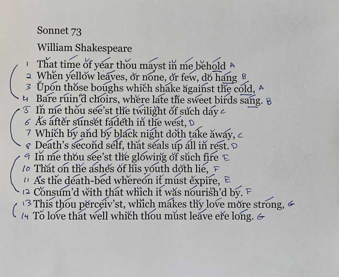 Sonnet sonnets bespoke