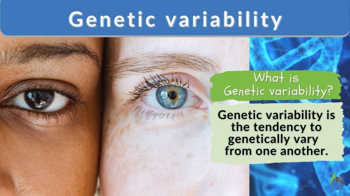 Mutation point mutations genome dna genetics human illustration diagram research replication national primer rna part polymorphisms lab codon institute its