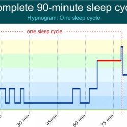 Sleep age time rem decreases spent disorders amount sleeping adult