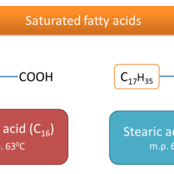 Match each fatty acid with its melting point